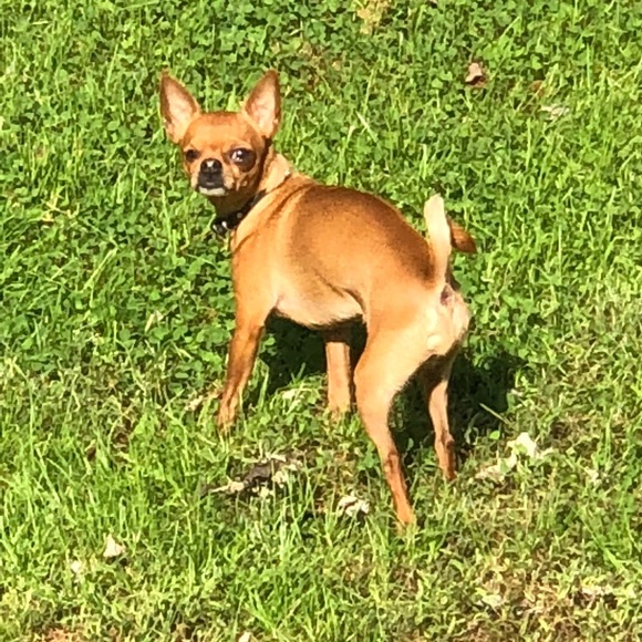 Meet your Posher, Mike - Picture 1 of 1